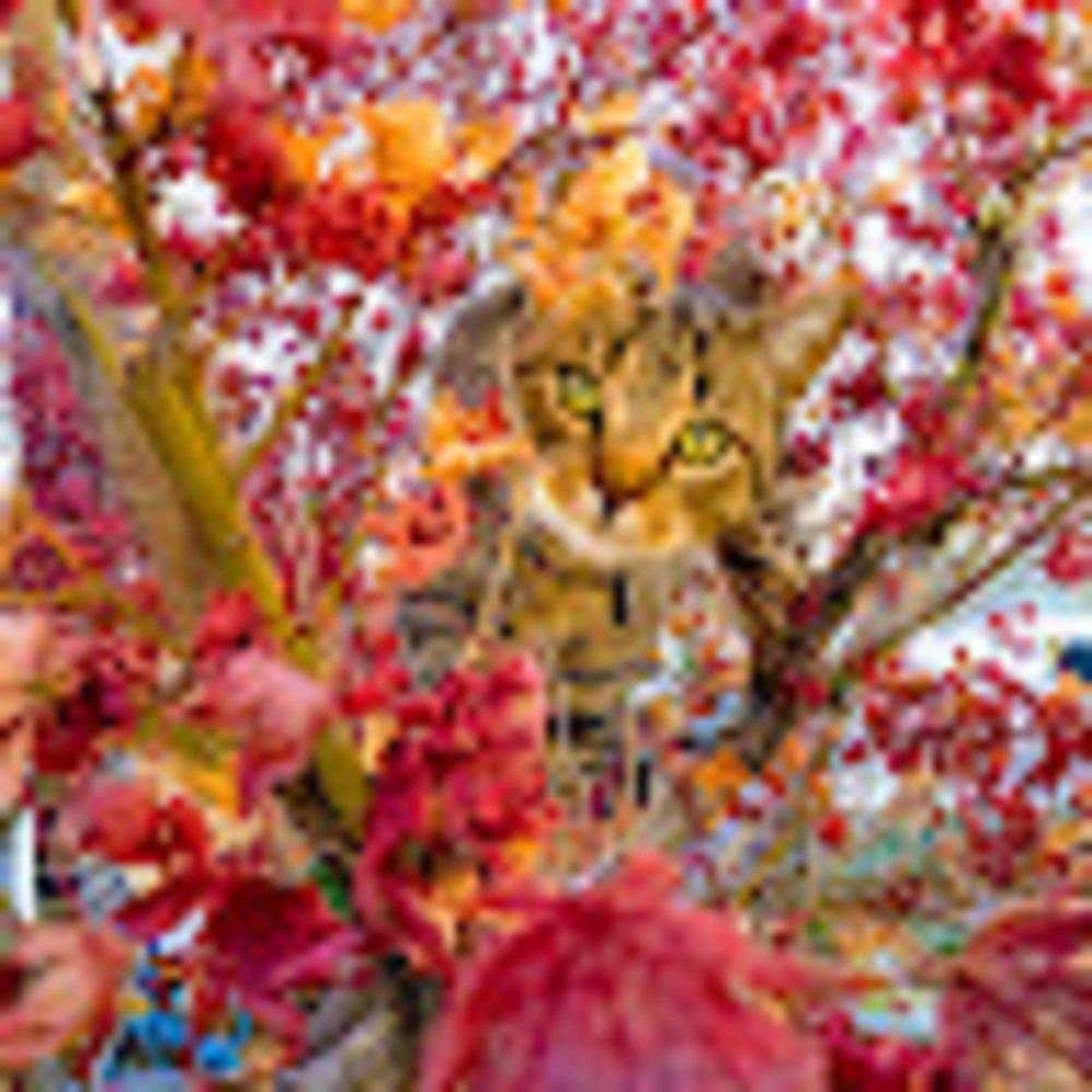 Meet your Posher, Rebekka